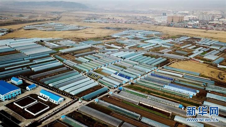 （在習(xí)近平新時代中國特色社會主義思想指引下&mdash;&mdash;新時代新作為新篇章&middot;鄉(xiāng)村振興戰(zhàn)略&middot;圖文互動）（5）&ldquo;十五連豐&rdquo;譜新篇&mdash;&mdash;端牢&ldquo;中國飯碗&rdquo;的龍江實(shí)踐