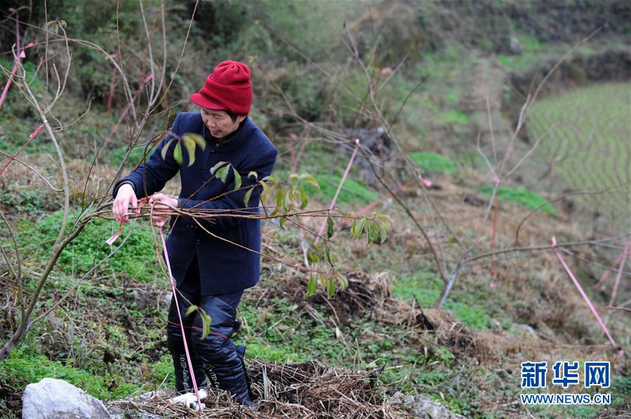(圖文互動)(3)平靜而充滿力量——“中國網(wǎng)事·感動2018”年度網(wǎng)絡(luò)人物群像