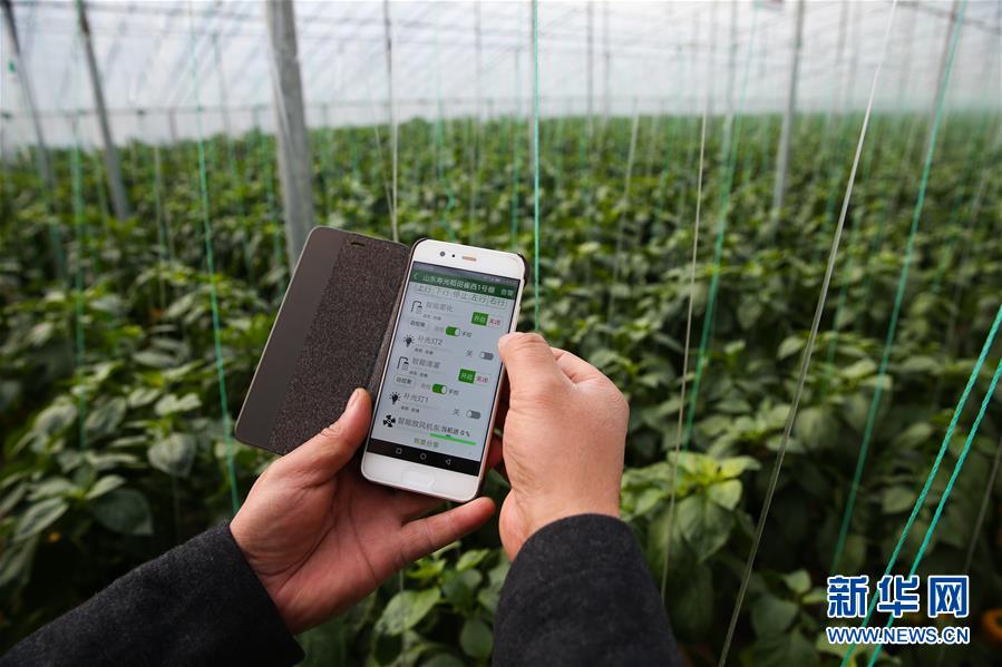 （新華全媒頭條·圖文互動(dòng)）（8）聚焦高質(zhì)量，躍上新臺(tái)階——新年開局看中國經(jīng)濟(jì)信心和潛力