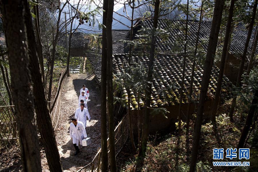 （新華全媒頭條&middot;圖文互動(dòng)）（6）承諾有&ldquo;干貨&rdquo; 落實(shí)有&ldquo;硬招&rdquo;&mdash;&mdash;&ldquo;全國(guó)兩會(huì)部長(zhǎng)通道&rdquo;上承諾踐行情況掃描