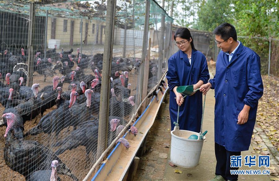 （新華全媒頭條&middot;兩會(huì)特別報(bào)道&middot;圖文互動(dòng)）（4）凝聚不懈奮斗的磅礴力量&mdash;&mdash;從全國兩會(huì)看奮進(jìn)中國的奮斗姿態(tài)