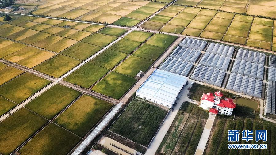 （新華全媒頭條·愛國(guó)情 奮斗者·圖文互動(dòng)）（8）一個(gè)村的奮斗，一個(gè)時(shí)代的巨變——記敢“蹚新路”的小崗人