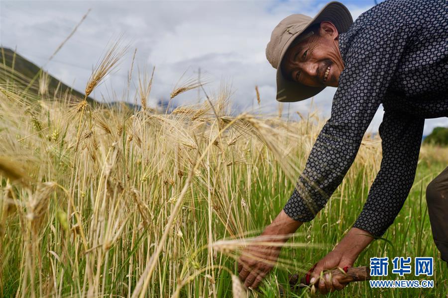 （新華全媒頭條&middot;圖文互動(dòng)）（5）昂首闊步向未來&mdash;&mdash;寫在西藏民主改革60周年之際