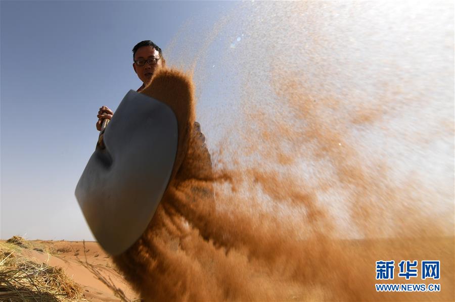 (新華全媒頭條·圖文互動)(5)八步沙·六老漢·三代人