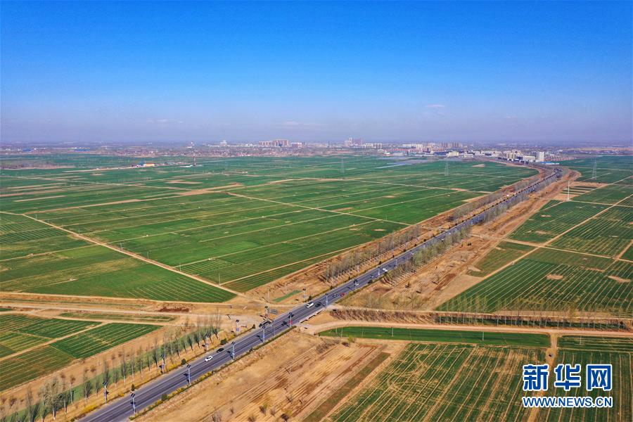 （新華全媒頭條&middot;圖文互動(dòng)）（2）奮進(jìn)，向著未來之城！&mdash;&mdash;河北雄安新區(qū)建設(shè)發(fā)展兩周年紀(jì)實(shí)