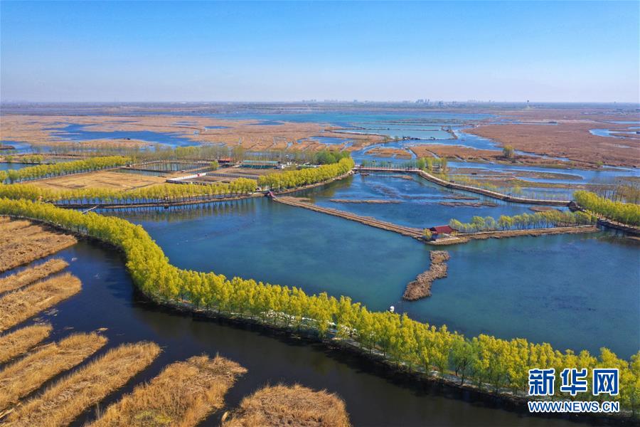 （新華全媒頭條&middot;圖文互動(dòng)）（5）奮進(jìn)，向著未來之城！&mdash;&mdash;河北雄安新區(qū)建設(shè)發(fā)展兩周年紀(jì)實(shí)