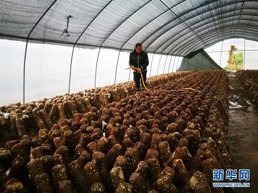 (新華全媒頭條·圖文互動)(1)以生命赴使命 用熱血鑄忠魂——記犧牲在脫貧攻堅戰(zhàn)場上的英雄們