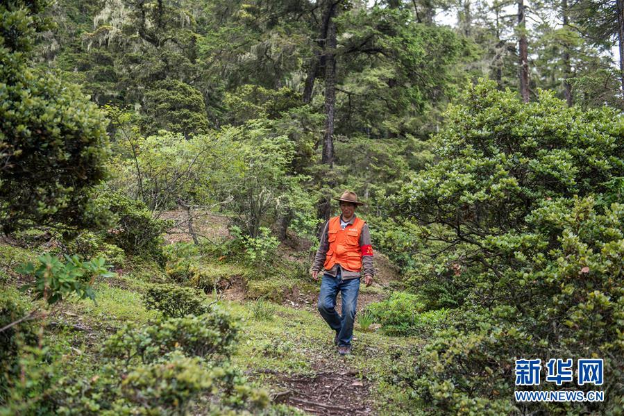 (新華全媒頭條·北京世園會(huì)·圖文互動(dòng))(13)建設(shè)美麗中國(guó) 共筑綠色家園——寫(xiě)在2019年中國(guó)北京世界園藝博覽會(huì)開(kāi)幕之際