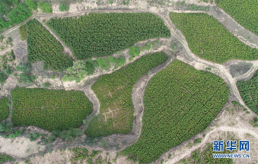 （新華全媒頭條&middot;北京世園會&middot;圖文互動）（8）共繪人類生態(tài)文明美麗畫卷&mdash;&mdash;從北京世園會看中國綠色發(fā)展的&ldquo;世界貢獻&rdquo;