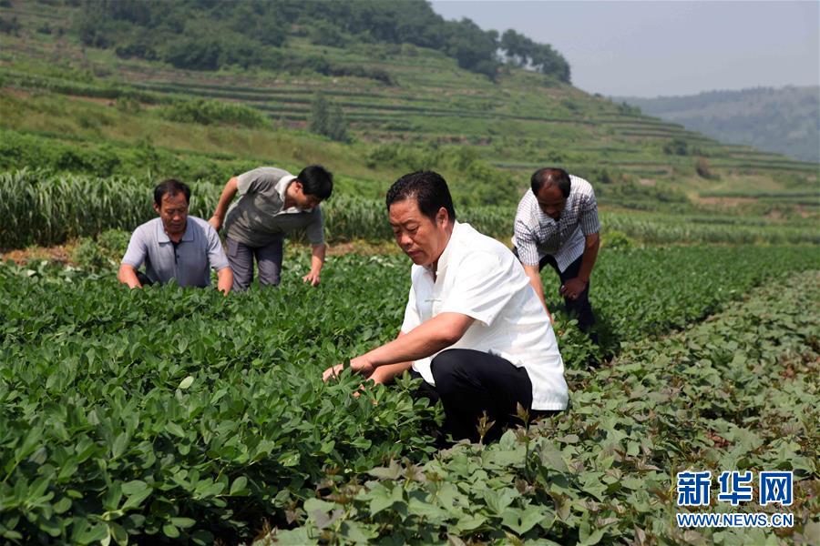 （新華全媒頭條&middot;圖文互動(dòng)）（1）讓奮斗成為人生最亮麗的底色&mdash;&mdash;寫(xiě)在2019年&ldquo;五一&rdquo;國(guó)際勞動(dòng)節(jié)到來(lái)之際