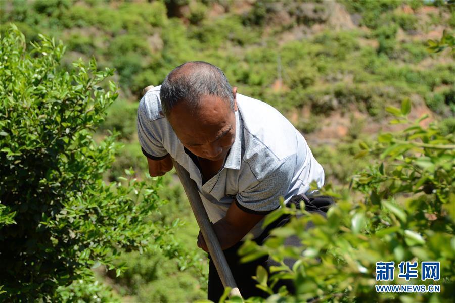 (壯麗70年&middot;奮斗新時代&middot;圖文互動）（1）福建長汀：換顏&ldquo;山光水濁&rdquo; 永駐綠水青山