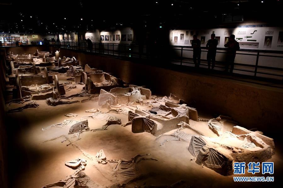 （新華全媒頭條&middot;圖文互動）（4）&ldquo;若問古今興廢事，請君只看洛陽城&rdquo;&mdash;&mdash;千年古都&ldquo;烹制&rdquo;博物館盛宴