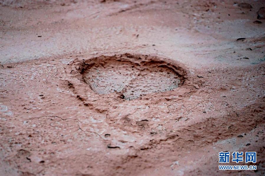 （新華全媒頭條&middot;圖文互動(dòng)）（8）&ldquo;若問(wèn)古今興廢事，請(qǐng)君只看洛陽(yáng)城&rdquo;&mdash;&mdash;千年古都&ldquo;烹制&rdquo;博物館盛宴