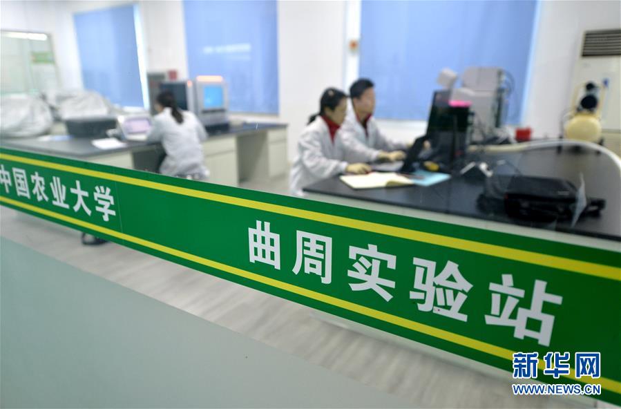 （新華全媒頭條&middot;愛國情 奮斗者&middot;圖文互動）（10）把論文寫在祖國的大地上&mdash;&mdash;中國農(nóng)業(yè)大學46年扎根河北曲周服務(wù)鄉(xiāng)村振興紀實