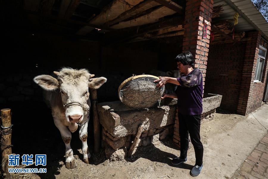 （圖文互動）（2）一條38年的生命通道：媽媽會一直把你當作&ldquo;雛鳥&rdquo;