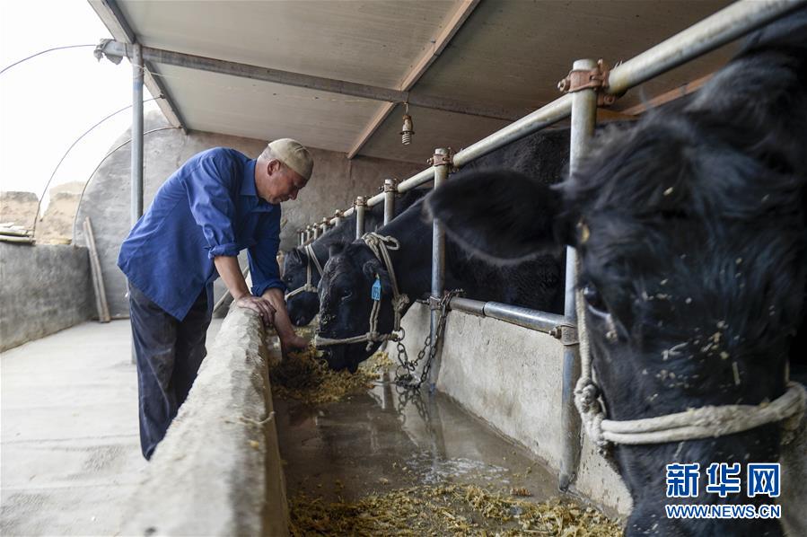 （新華全媒頭條&middot;壯麗70年&middot;奮斗新時(shí)代&middot;圖文互動(dòng)）（10）中國減貧的西海固報(bào)告