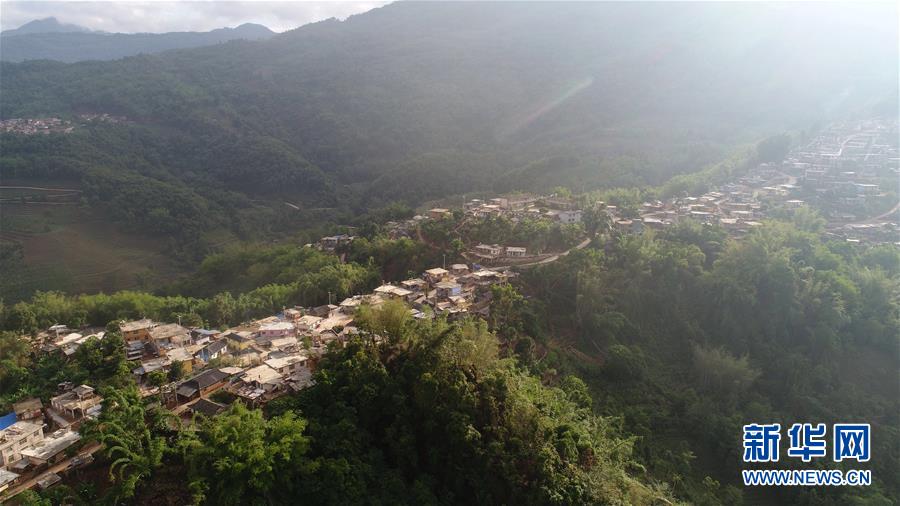 (直過民族脫貧攻堅·圖文互動)(1)又見白鷴鳥