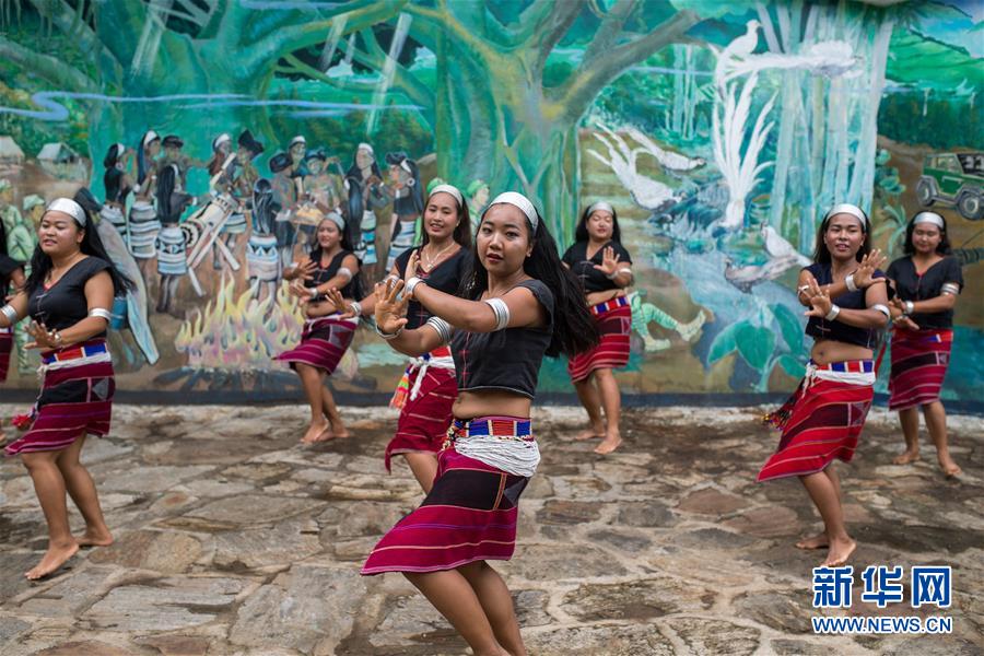 (直過民族脫貧攻堅·圖文互動)(2)又見白鷴鳥