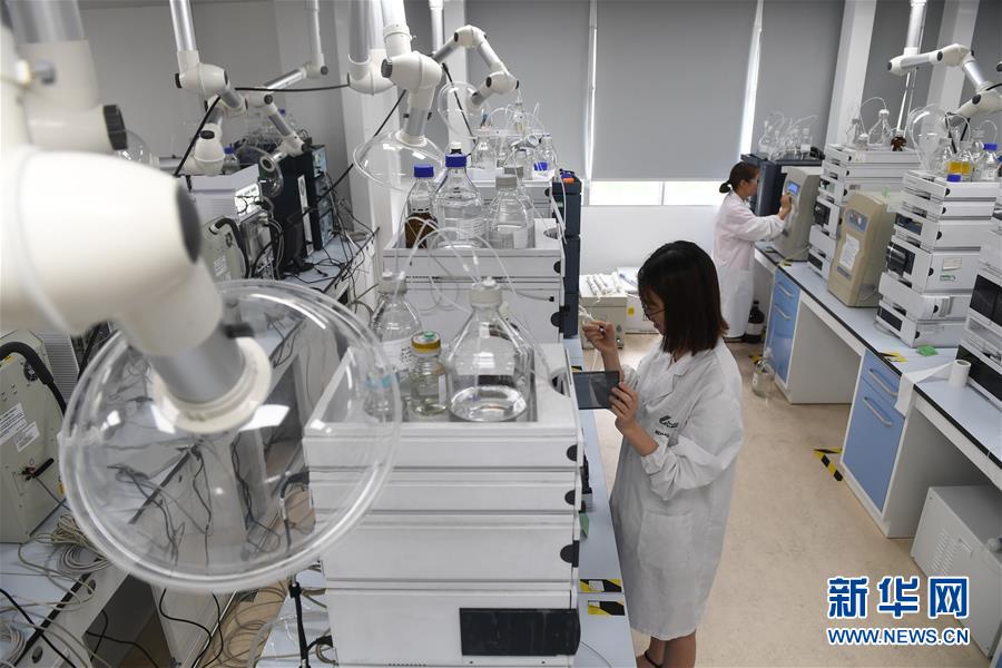 （新華全媒頭條&middot;中國經(jīng)濟(jì)基層行&middot;圖文互動）（6）看！這就是中國經(jīng)濟(jì)的信心&mdash;&mdash;當(dāng)前中國經(jīng)濟(jì)觀察之一