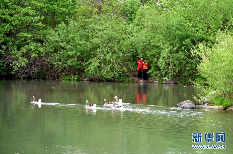 （在習(xí)近平新時(shí)代中國(guó)特色社會(huì)主義思想指引下&mdash;&mdash;新時(shí)代新作為新篇章&middot;圖文互動(dòng)）（4）在這里，遇見(jiàn)&ldquo;詩(shī)和遠(yuǎn)方&rdquo;&mdash;&mdash;長(zhǎng)白山下&ldquo;第一鎮(zhèn)&rdquo;的全域旅游實(shí)踐