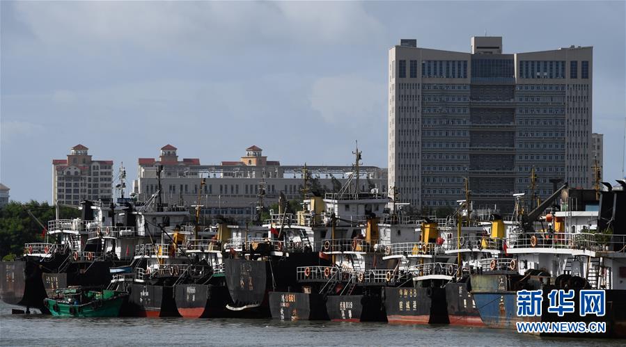 （社會）（1）?？冢捍盎馗郾芘_風