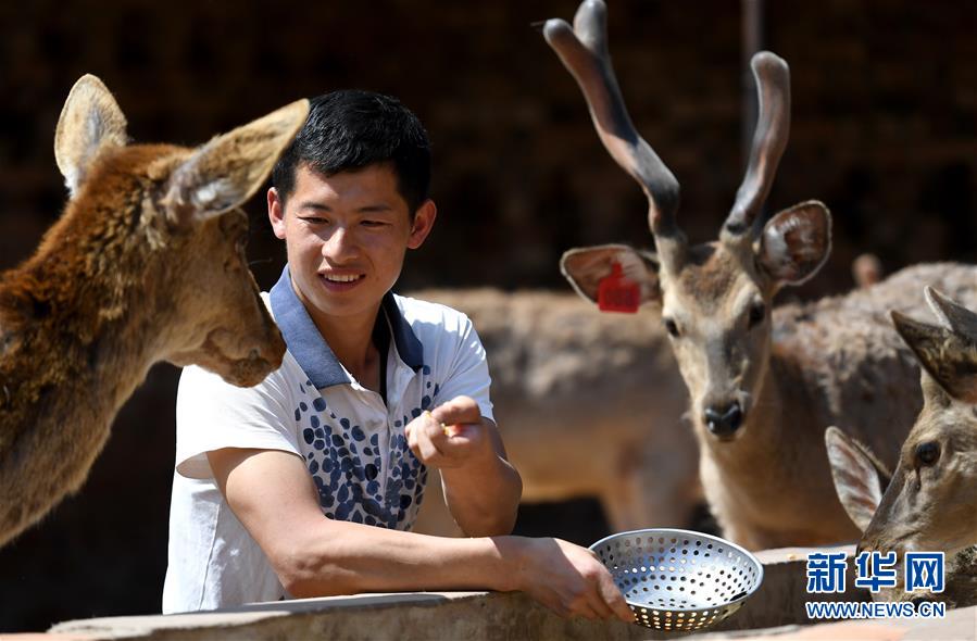 （新華全媒頭條&middot;圖文互動(dòng)）（8）紅色土地上的不變初心&mdash;&mdash;革命老區(qū)井岡山和延安脫貧啟示錄