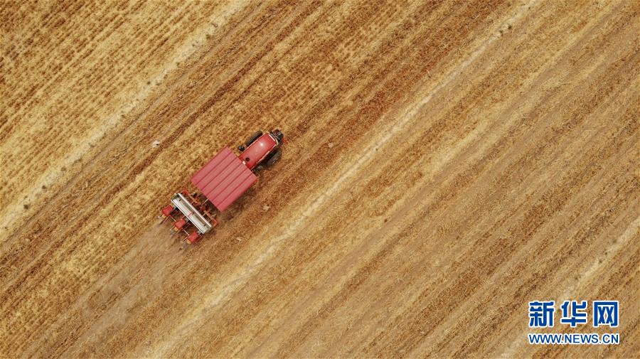 （新華全媒頭條&middot;圖文互動）（7）一個傳統(tǒng)農(nóng)業(yè)縣的脫貧之路&mdash;&mdash;來自河北新河的調查報告