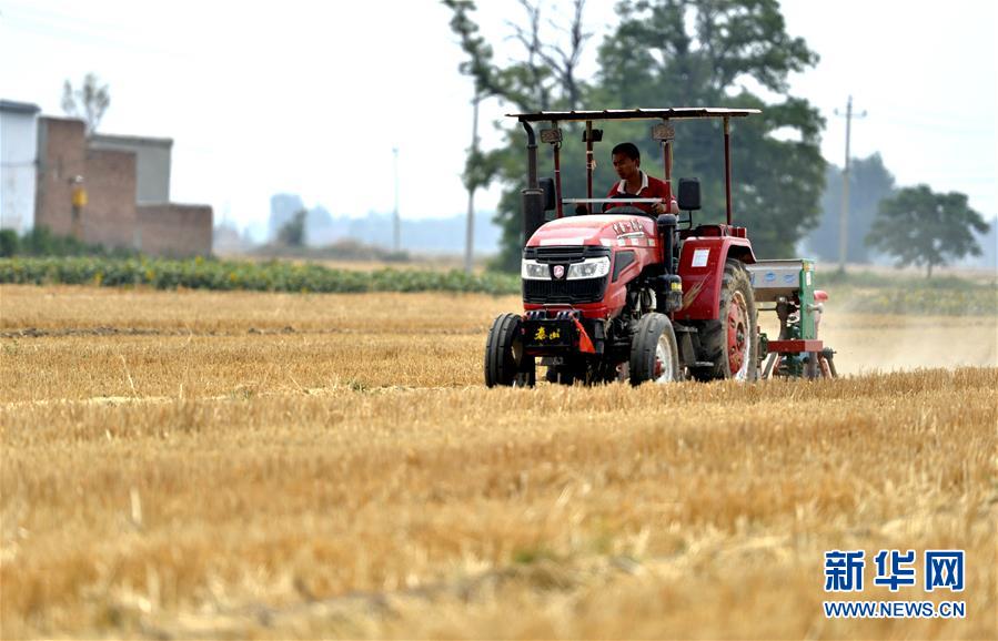 （新華全媒頭條&middot;圖文互動）（8）一個傳統(tǒng)農(nóng)業(yè)縣的脫貧之路&mdash;&mdash;來自河北新河的調查報告