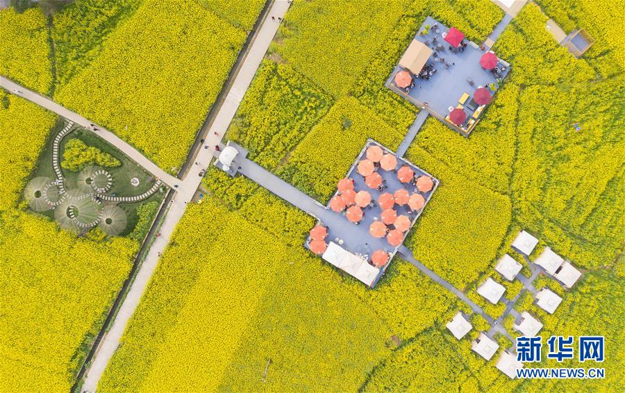 (壯麗70年·奮斗新時代——共和國發(fā)展成就巡禮·圖文互動)(13)治蜀往事激越 興川今朝豪邁——新中國成立70年四川發(fā)展巡禮