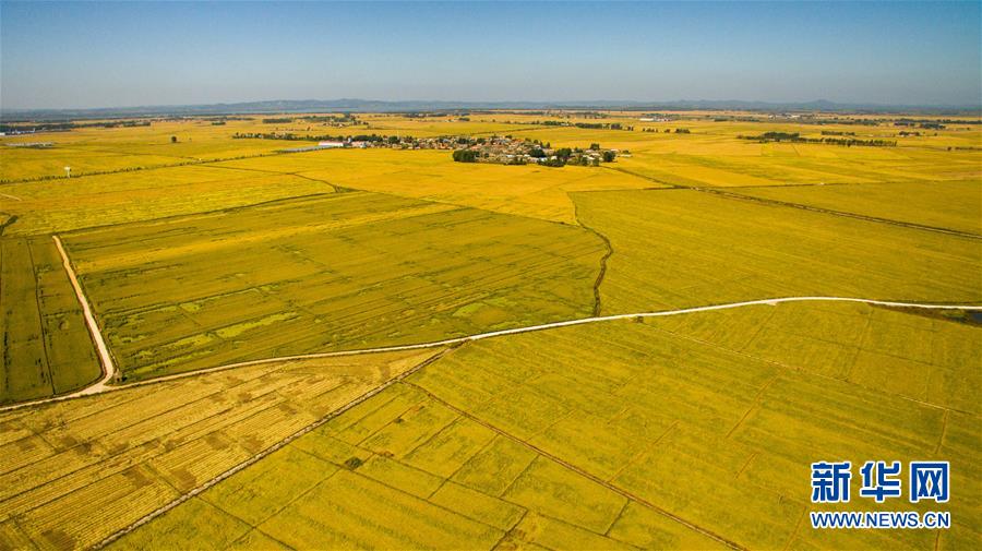 （在習(xí)近平新時(shí)代中國(guó)特色社會(huì)主義思想指引下&mdash;&mdash;新時(shí)代新作為新篇章&middot;圖文互動(dòng)）（2）吉林萬(wàn)昌現(xiàn)代農(nóng)業(yè)發(fā)展先導(dǎo)區(qū)&ldquo;三變&rdquo; 