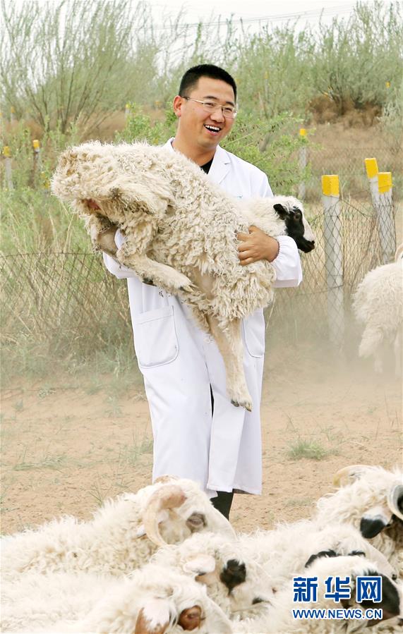 （壯麗70年&middot;奮斗新時代&mdash;&mdash;共和國發(fā)展成就巡禮&middot;圖文互動）（3）生態(tài)美、百姓富&mdash;&mdash;品讀嶄新&ldquo;寧夏畫卷&rdquo;