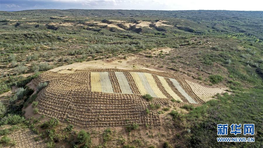 （壯麗70年&middot;奮斗新時代&mdash;&mdash;共和國發(fā)展成就巡禮&middot;圖文互動）（6）生態(tài)美、百姓富&mdash;&mdash;品讀嶄新&ldquo;寧夏畫卷&rdquo;