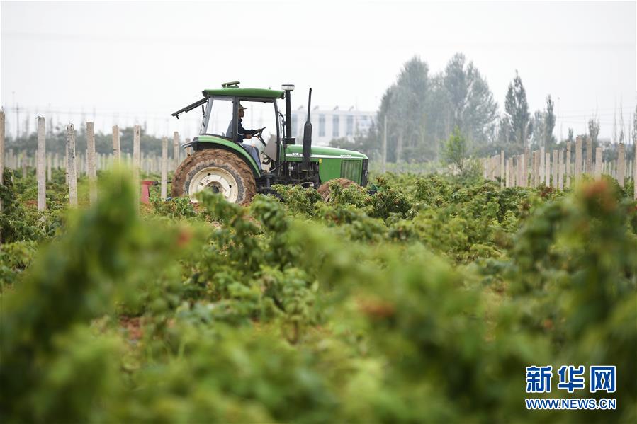 （壯麗70年&middot;奮斗新時代&mdash;&mdash;共和國發(fā)展成就巡禮&middot;圖文互動）（10）生態(tài)美、百姓富&mdash;&mdash;品讀嶄新&ldquo;寧夏畫卷&rdquo;