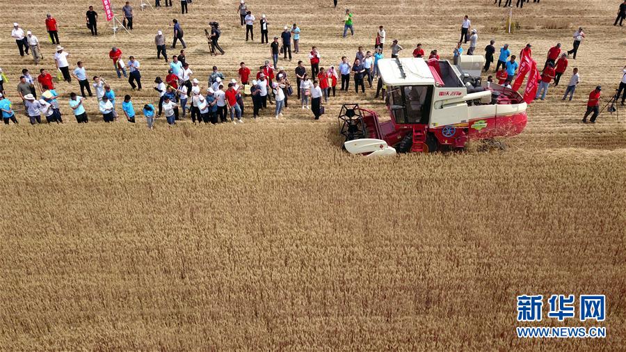 （壯麗70年&middot;奮斗新時代&mdash;&mdash;共和國發(fā)展成就巡禮）（3）看今朝齊風魯韻　七十載芳華正勁&mdash;&mdash;新中國成立以來山東領(lǐng)先發(fā)展紀實