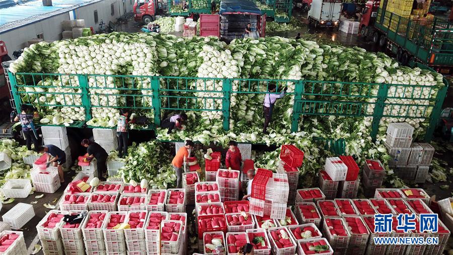 （壯麗70年&middot;奮斗新時代&mdash;&mdash;共和國發(fā)展成就巡禮）（5）看今朝齊風魯韻　七十載芳華正勁&mdash;&mdash;新中國成立以來山東領(lǐng)先發(fā)展紀實