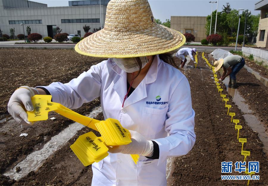 （壯麗70年&middot;奮斗新時代&mdash;&mdash;共和國發(fā)展成就巡禮）（10）看今朝齊風魯韻　七十載芳華正勁&mdash;&mdash;新中國成立以來山東領(lǐng)先發(fā)展紀實