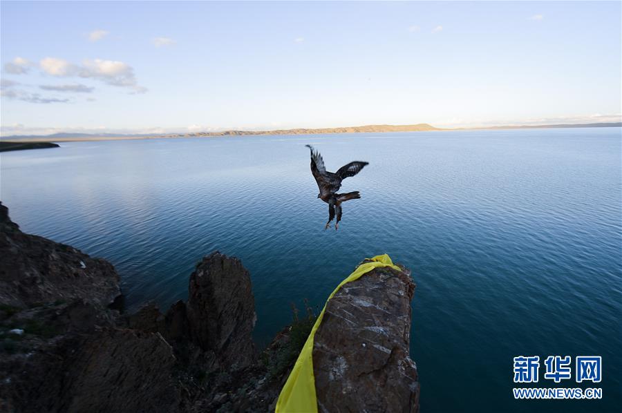 （今日關(guān)注&middot;第一屆國家公園論壇&middot;圖文互動）（2）首個國家公園什么樣？專家?guī)阆?ldquo;睹&rdquo;為快