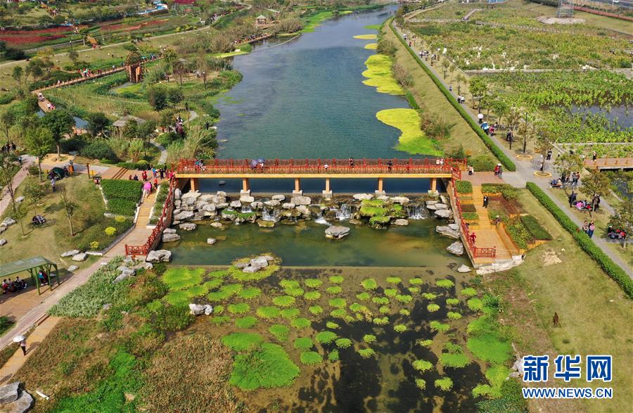 （壯麗70年 奮斗新時代&mdash;&mdash;推動高質(zhì)量發(fā)展調(diào)研行&middot;圖文互動）（4）亮出一江清水優(yōu)質(zhì)&ldquo;成績單&rdquo;&mdash;&mdash;廣西重點流域水環(huán)境綜合治理觀察