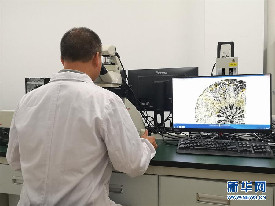 （新華調(diào)查&middot;新中國考古重大發(fā)現(xiàn)&middot;圖文互動）（5）?；韬睿翰粌H僅是&ldquo;黃金大墓&rdquo;