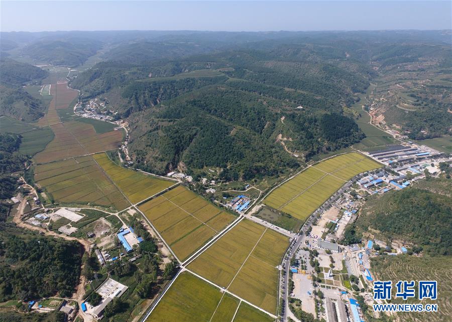 （圖文互動(dòng)）（1）荒土換青山 林海淘真金&mdash;&mdash;延安退耕還林20載造就綠色奇跡