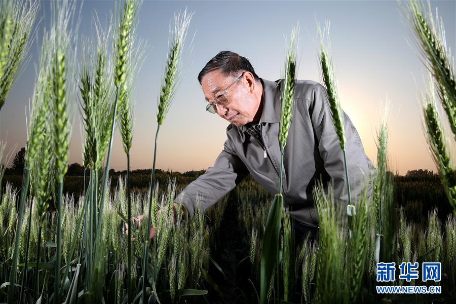 （&ldquo;中國面貌&rdquo;系列述評&middot;圖文互動(dòng)）（4）創(chuàng)新中國&mdash;&mdash;70年中國面貌變遷述評之二