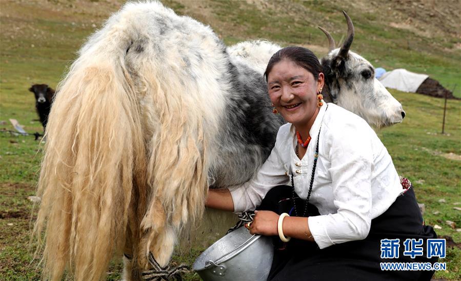 （決戰(zhàn)決勝脫貧攻堅(jiān)&middot;圖文互動(dòng)）（9）以保護(hù)促脫貧　以脫貧助保護(hù)&mdash;&mdash;長(zhǎng)江源頭第一縣的生態(tài)發(fā)展選擇