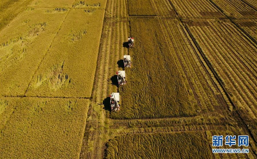（新華全媒頭條&middot;圖文互動）（5）紅色的傳承，藍圖的起點&mdash;&mdash;新中國孕育與發(fā)展的&ldquo;東北記憶&rdquo;