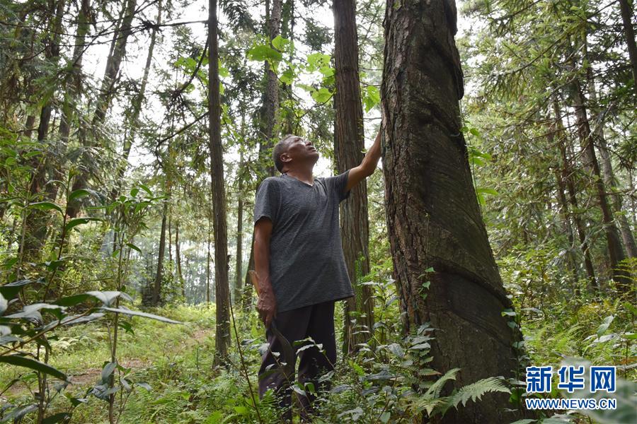 （愛(ài)國(guó)情 奮斗者&middot;圖文互動(dòng)）（3）貴州印江高石坎護(hù)林隊(duì)：半輩子，以林場(chǎng)為家