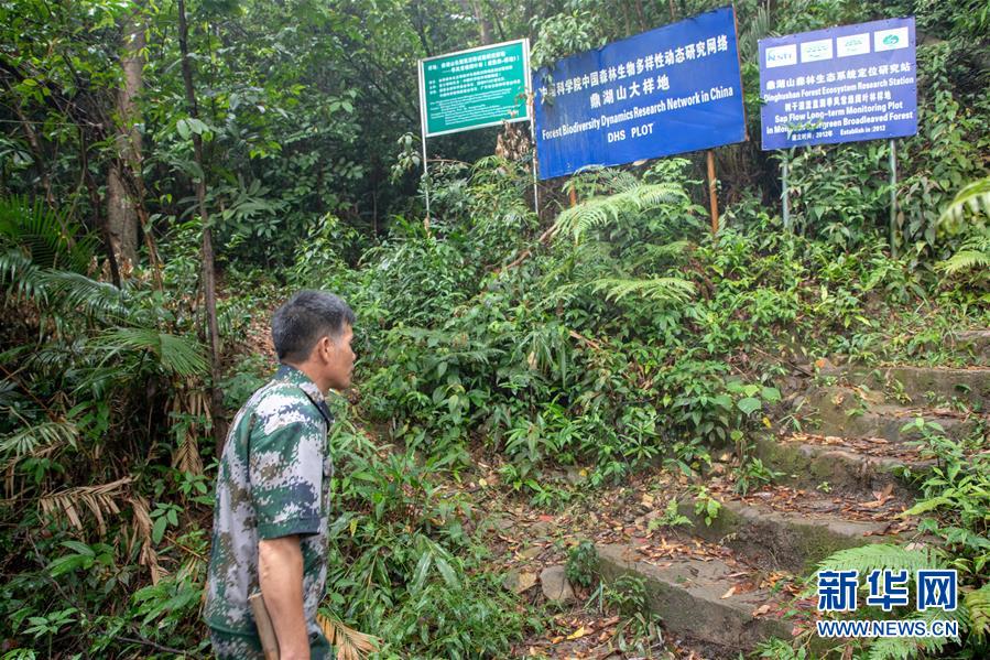 (圖文互動)(2)科學(xué)接續(xù)保護 守住生態(tài)紅線——探訪“北回歸沙漠帶上的綠色明珠”