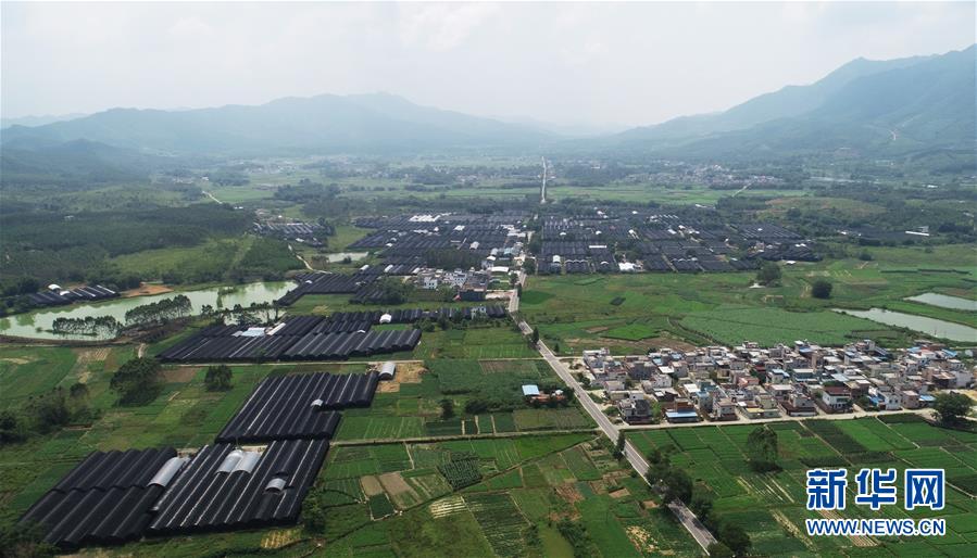 (在習(xí)近平新時(shí)代中國(guó)特色社會(huì)主義思想指引下——新時(shí)代新作為新篇章·總書(shū)記關(guān)心的百姓身邊事·圖文互動(dòng))(1)“科技秀才”給田野帶來(lái)新希望