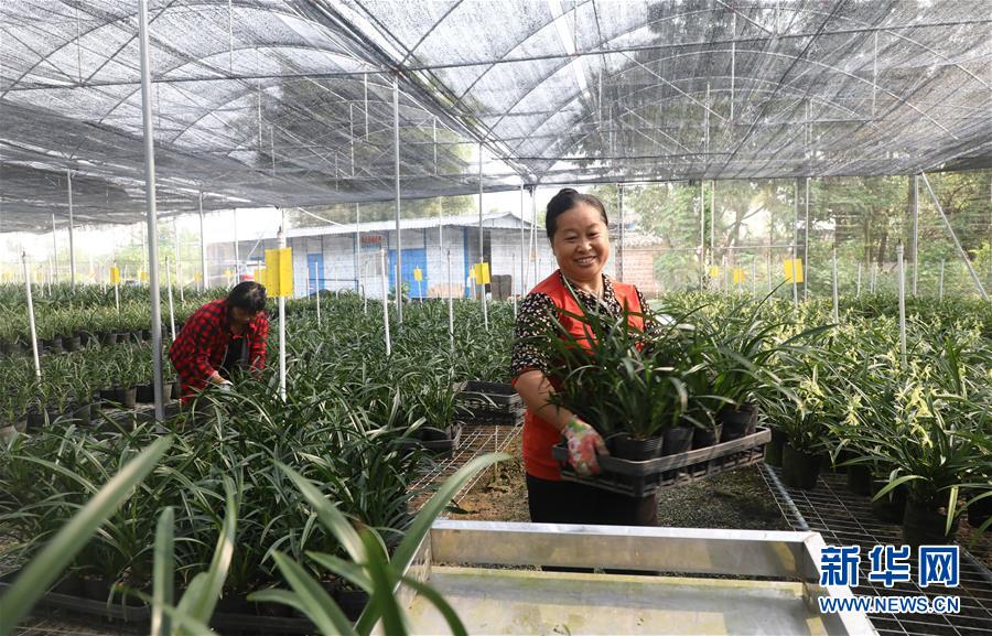 (在習(xí)近平新時(shí)代中國(guó)特色社會(huì)主義思想指引下——新時(shí)代新作為新篇章·總書(shū)記關(guān)心的百姓身邊事·圖文互動(dòng))(2)“科技秀才”給田野帶來(lái)新希望