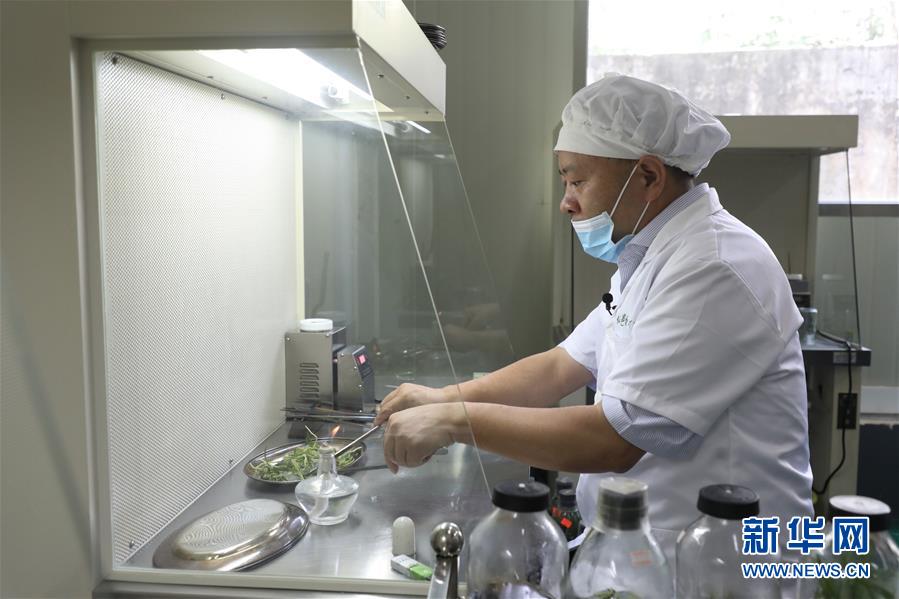 (在習(xí)近平新時(shí)代中國(guó)特色社會(huì)主義思想指引下——新時(shí)代新作為新篇章·總書(shū)記關(guān)心的百姓身邊事·圖文互動(dòng))(5)“科技秀才”給田野帶來(lái)新希望