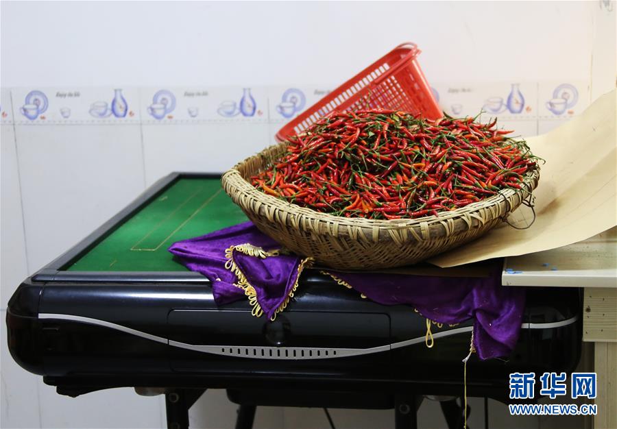 (四中全會(huì)精神在基層·圖文互動(dòng))(2)特寫:麻將桌“失業(yè)”記