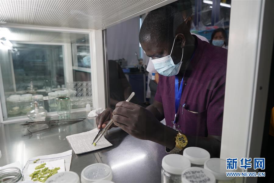 (在習(xí)近平新時(shí)代中國特色社會(huì)主義思想指引下——新時(shí)代新作為新篇章·總書記關(guān)切開放事·圖文互動(dòng))(8)來中國“學(xué)種地”的“洋學(xué)生”